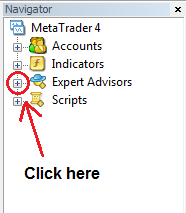 Click the plus in front of the Expert Advisors section in the navigator window.